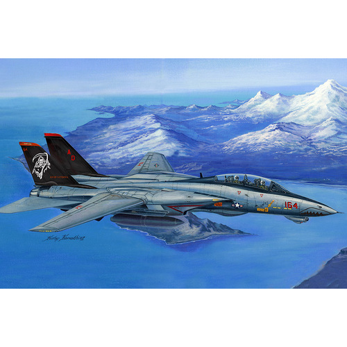 HobbyBoss 1/48 F-14D Super Tomcat Plastic Model Kit [80368]